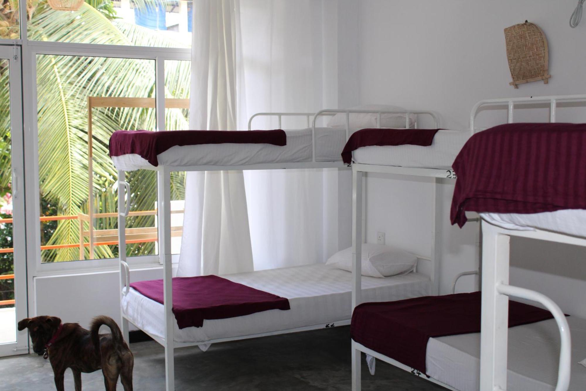 Sun & Moon Hostel ミリッサ エクステリア 写真